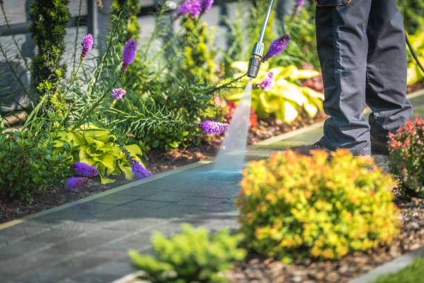 Best Dumpster Area Cleaning  in East Newark, NJ